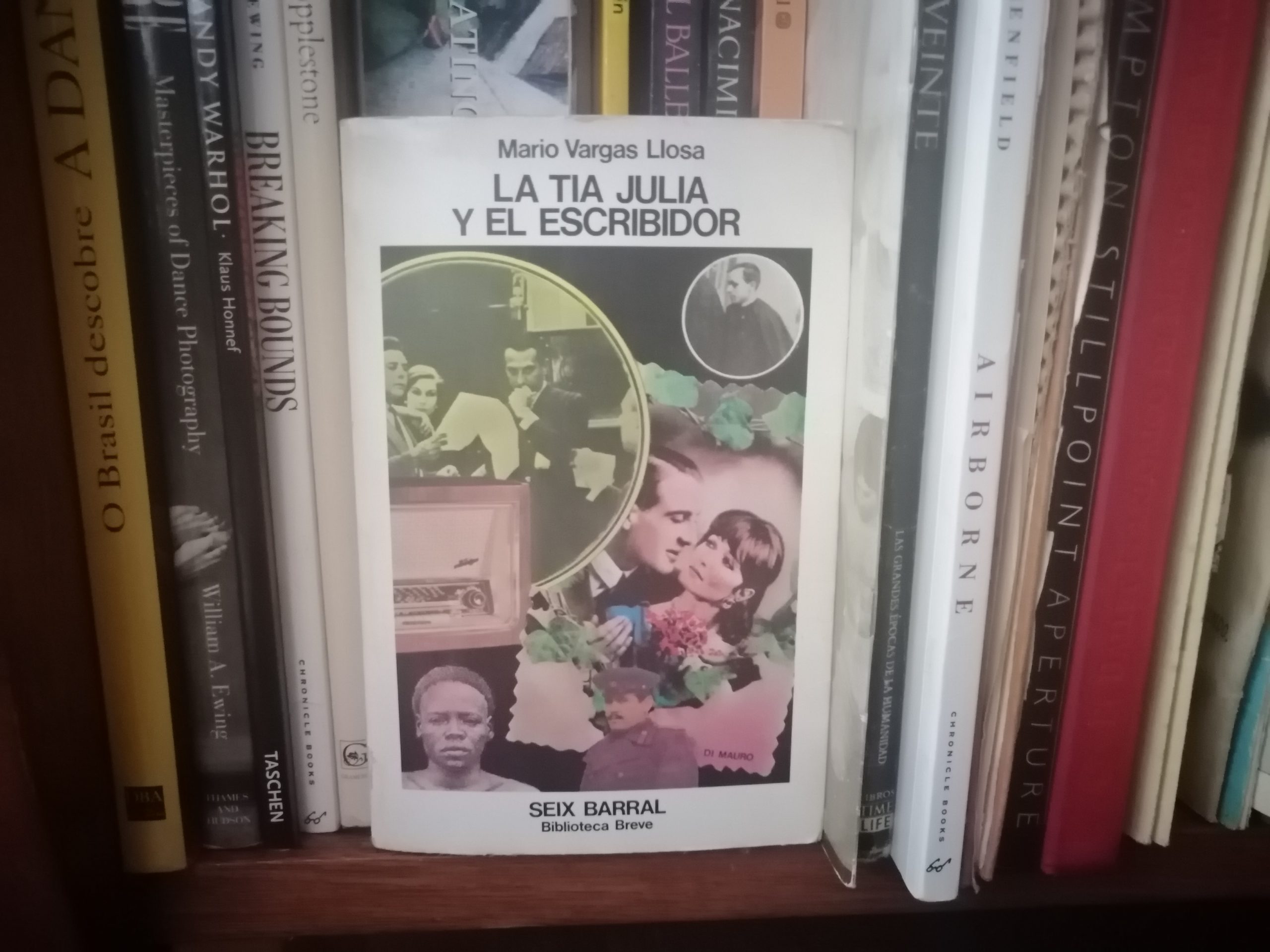 Hacia una teoría estética en “La tía Julia y el escribidor” de Mario Vargas Llosa