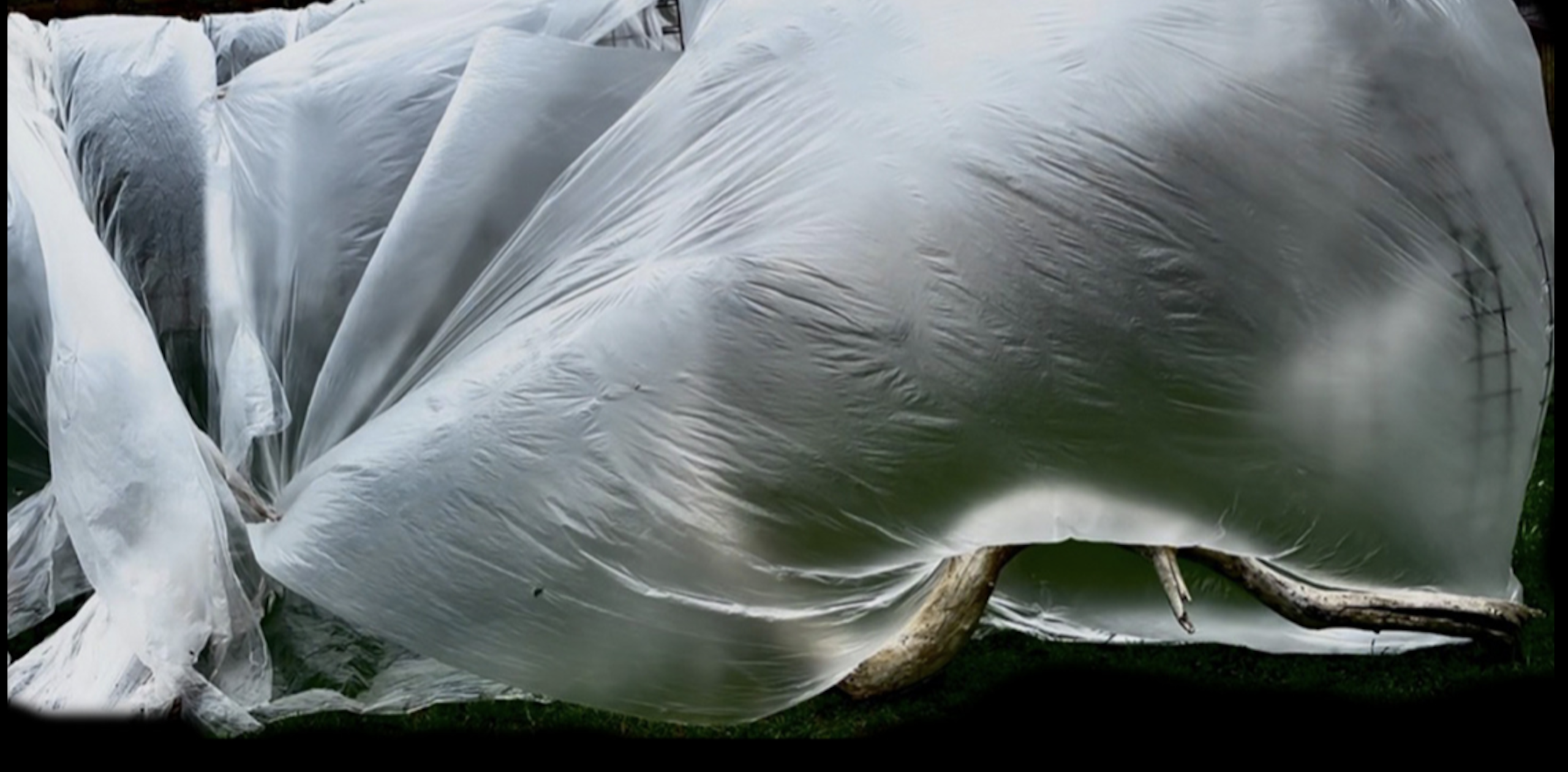 Intervista a Roberto Negri, autore e interprete di «Moby Dick: la balena»